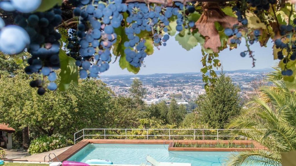 Photo de la galerie de l'établissement Quinta das Leiras, à Santo Tirso