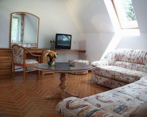 TV a/nebo společenská místnost v ubytování Hotel Szeleta