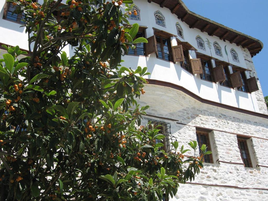 an orange tree in front of a building at Ta Xelidonakia in Pinakátai