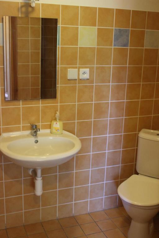 uma casa de banho com um lavatório e um WC em Apartmány Mladé Buky em Mladé Buky