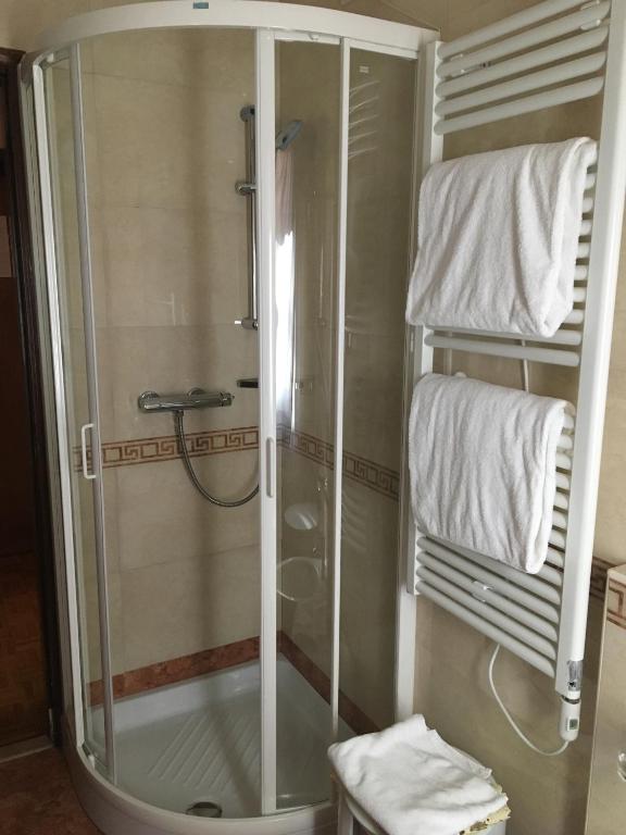 a shower with a glass door in a bathroom at Royal San Marco Hotel in Venice