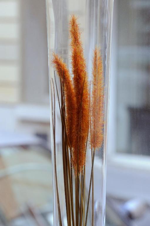 Auriane Porte De Versailles - Resim 25