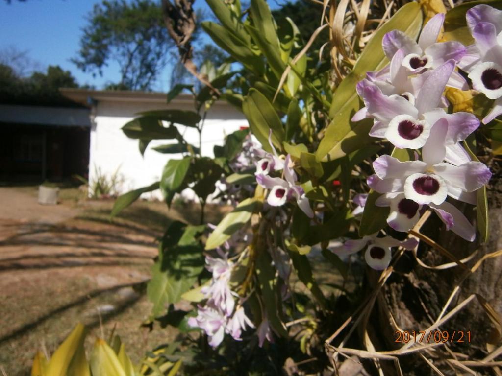  Suites do Reino Penedo RJ