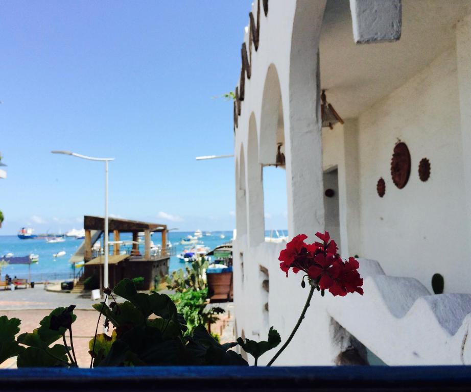 una flor roja sentada a un lado de un edificio en Hotel Casa Blanca, en Puerto Baquerizo Moreno