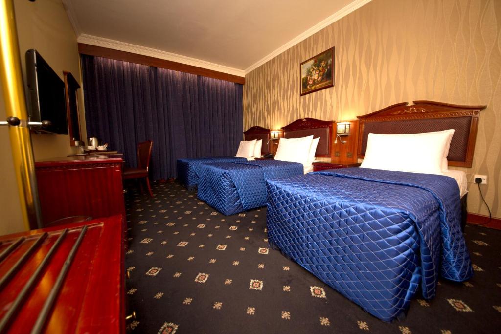 TV a/nebo společenská místnost v ubytování Mount Royal Hotel