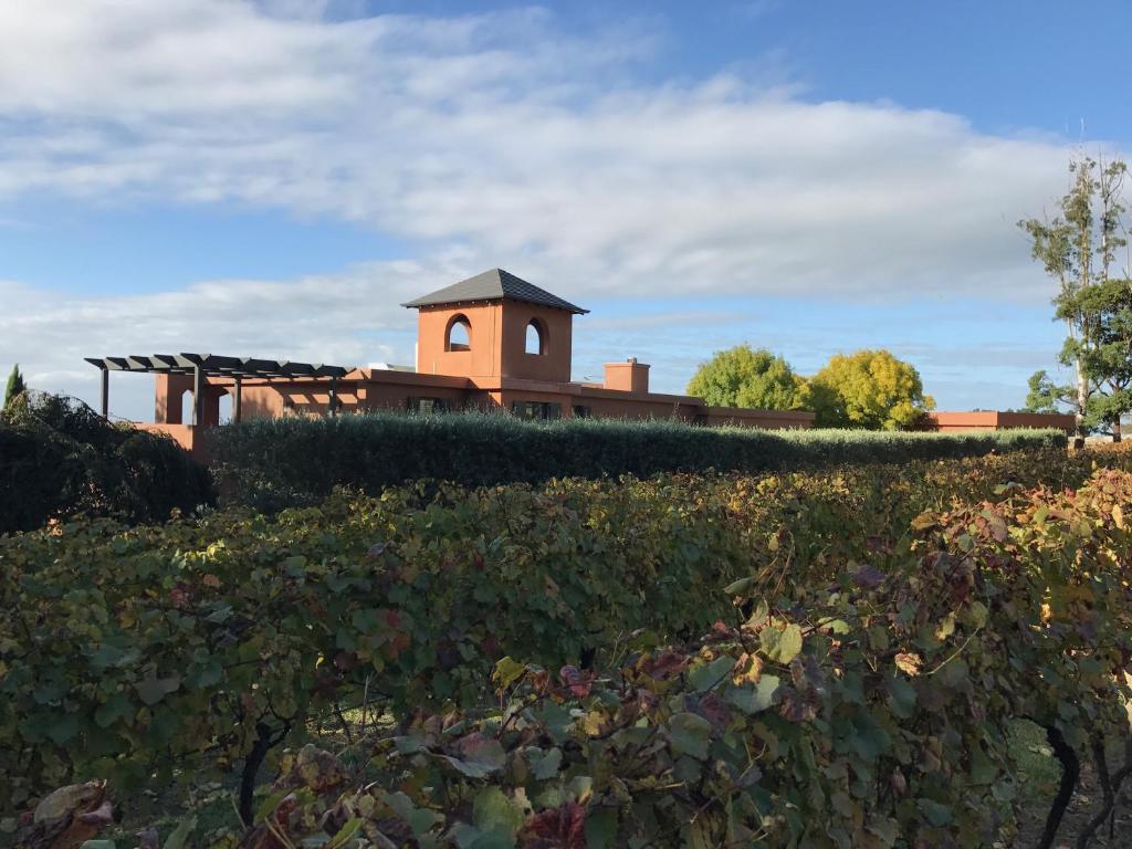 a building with a field of crops in front of it at Frogs Pond in Red Hill