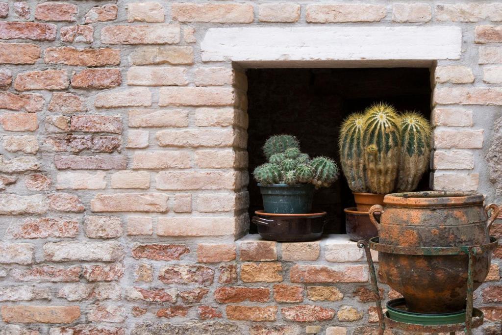 Fotografie z fotogalerie ubytování B&B Casin dei Nobili v Benátkách