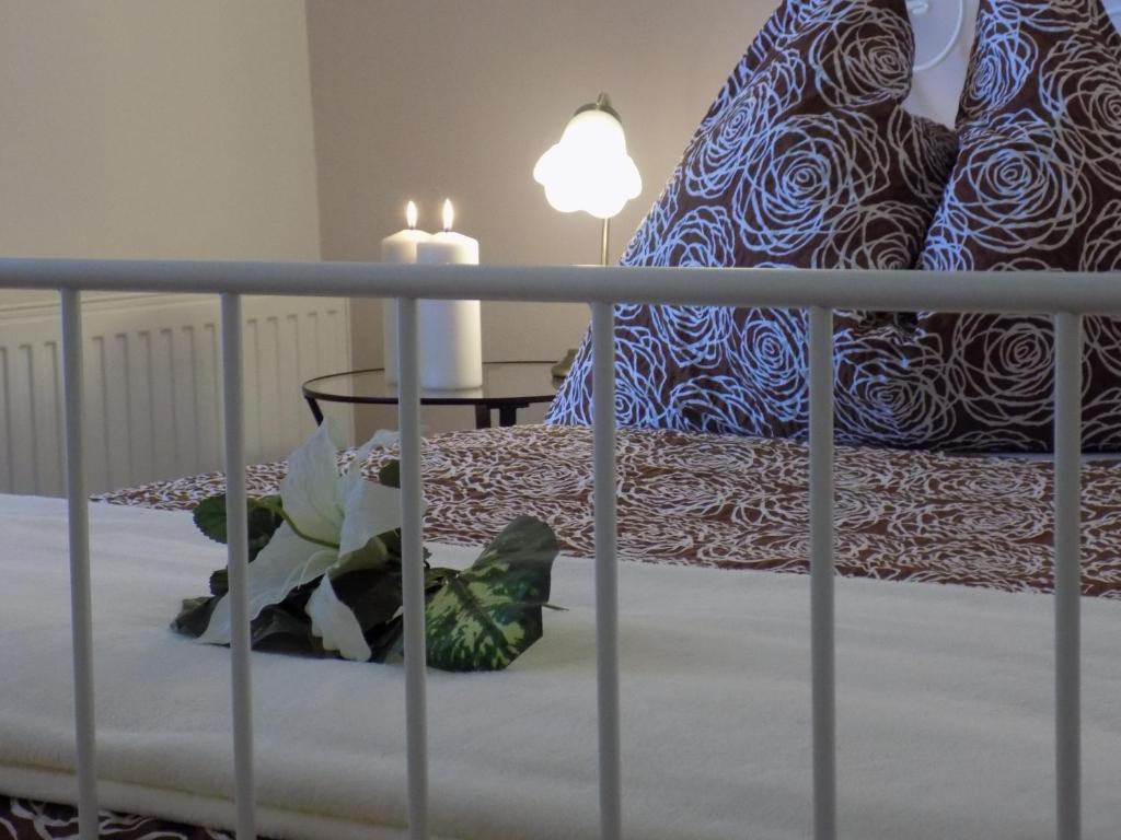 Pension Vila Hana - 8