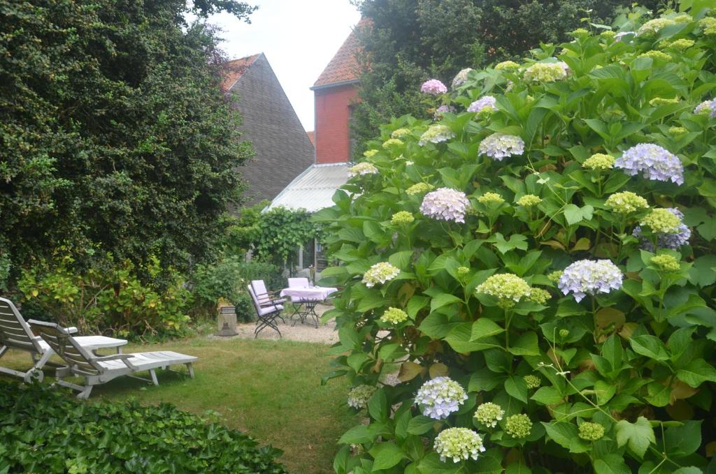 Zahrada ubytování Beaux Temps b&b