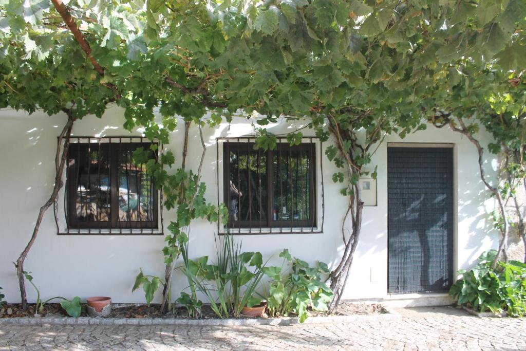 a white building with a door under a tree at Casa do Batista in Britiande