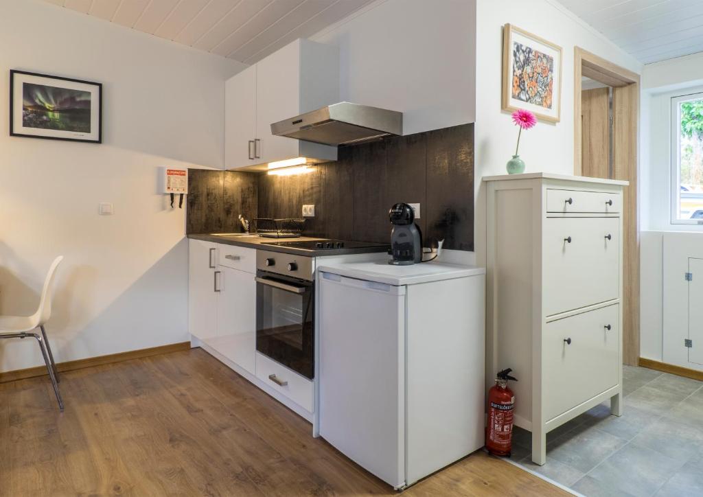 Kuchyň nebo kuchyňský kout v ubytování Túngata apartment