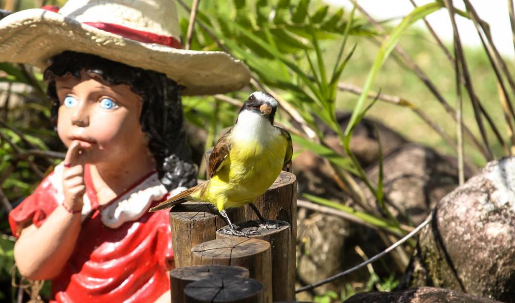  Pousada Torre Del Mar