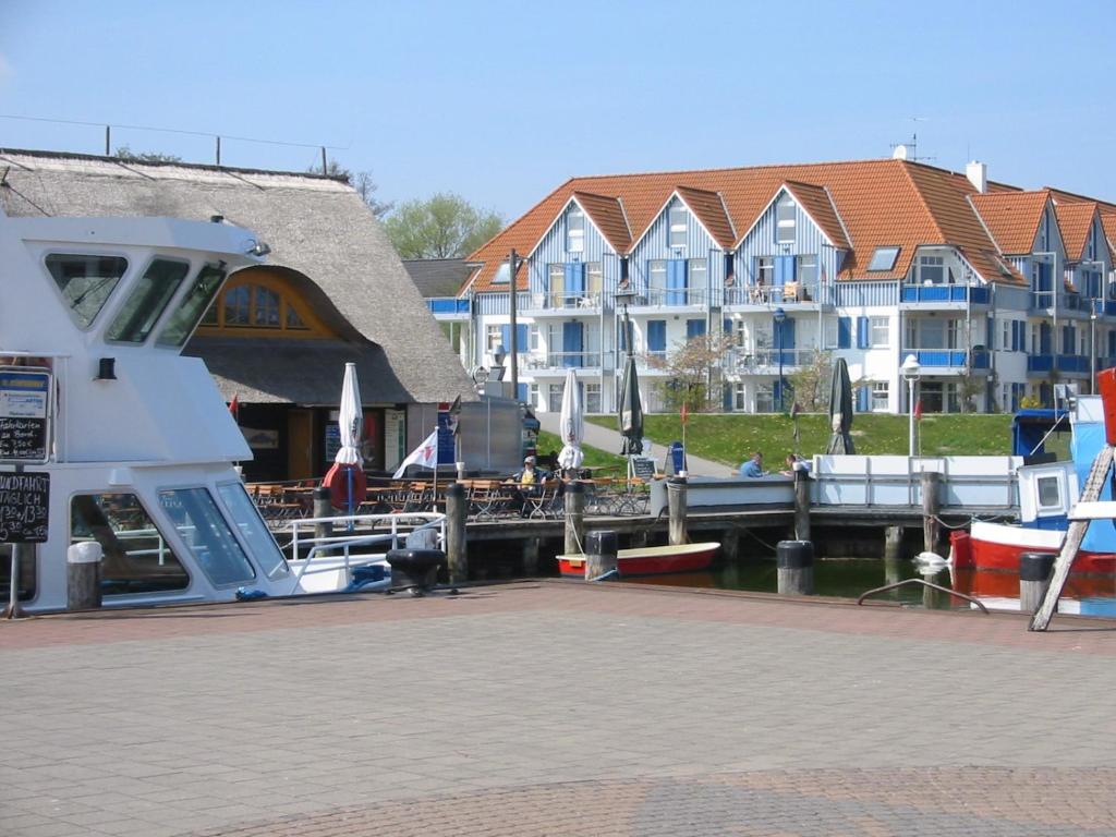 eine Gruppe von Booten, die an einem Yachthafen mit Gebäuden angedockt sind in der Unterkunft Boddenblick Zingst - Ostseebad - Fischland Darß - 18374 in Zingst