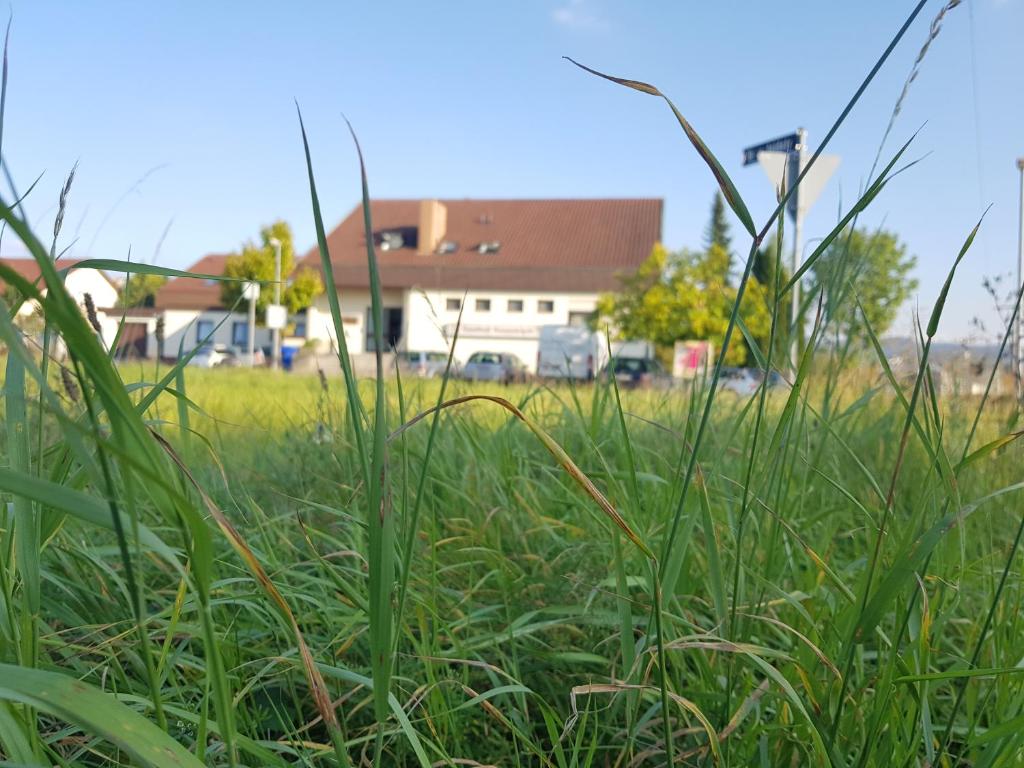 Galeriebild der Unterkunft Hotel Rosenbach in Reutlingen