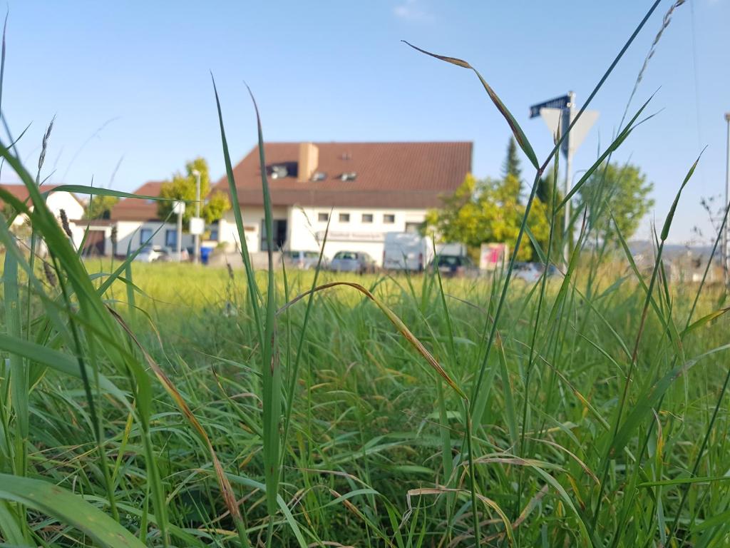 een veld van hoog groen gras met een gebouw op de achtergrond bij Hotel Rosenbach in Reutlingen