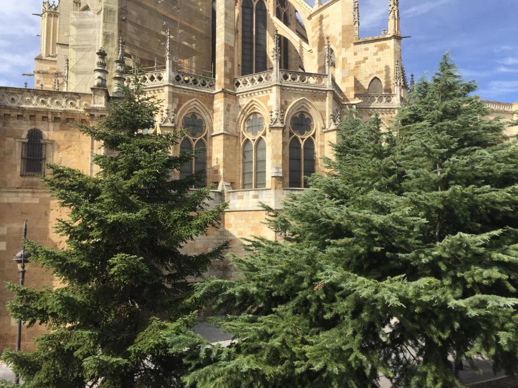 two pine trees in front of a cathedral at Suites La Catedral in León