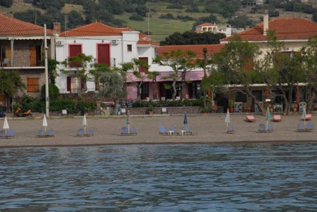 un grupo de sillas y sombrillas en una playa en Dimitra, en Petra