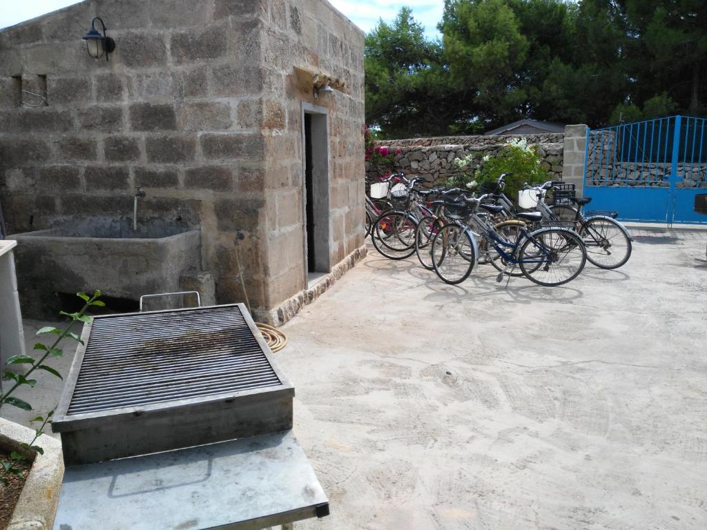 Jízda na kole v ubytování Casa Gelsomino nebo okolí