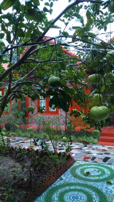 Tam Coc Thanh Dat Homestay - 10