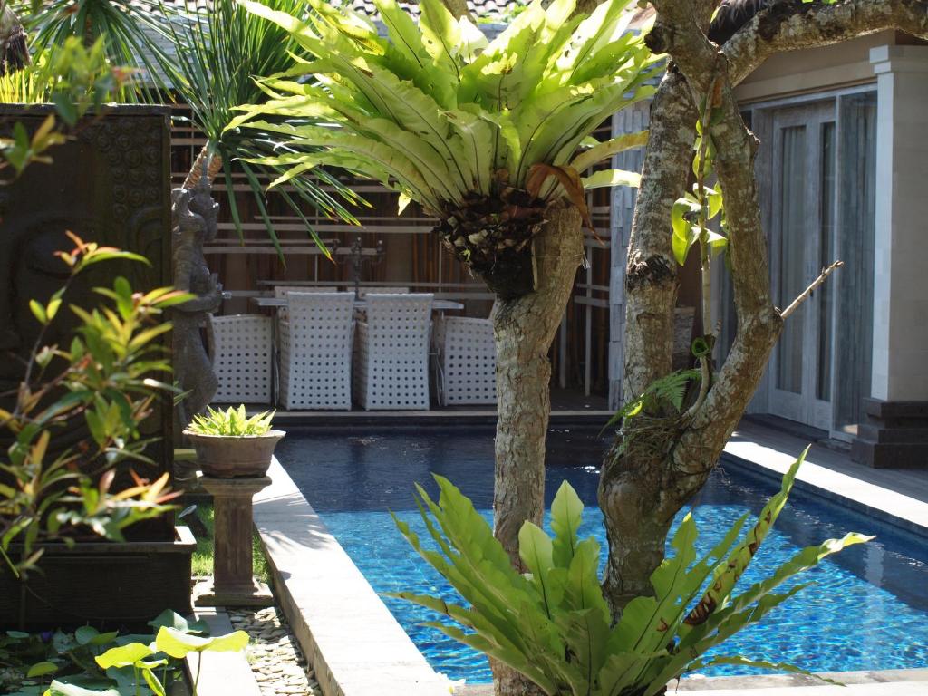 Bamboo Moon Villas - 5