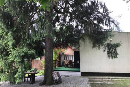 a tree in front of a house with a bench at Domek letni Kołatka z własnym pomostem in Bronków
