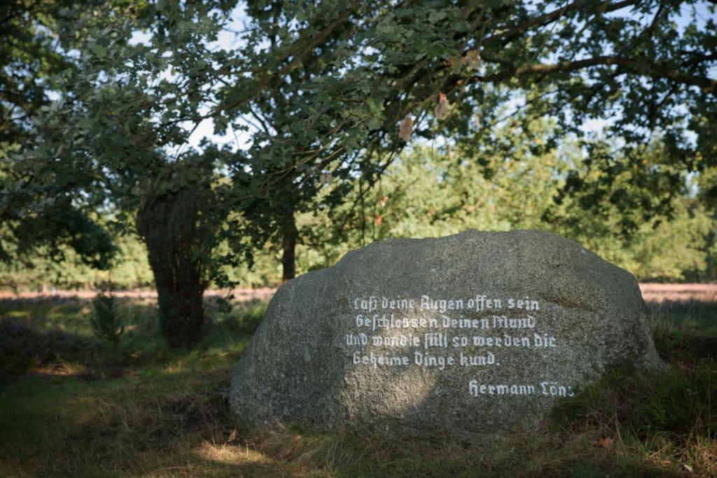 a rock in the grass under a tree at Hotel Schäferhof in Schneverdingen