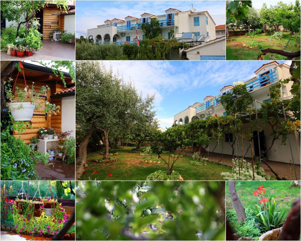 un collage di foto di una casa con fiori e piante di Pansion Ivan a Sućuraj (San Giorgio)
