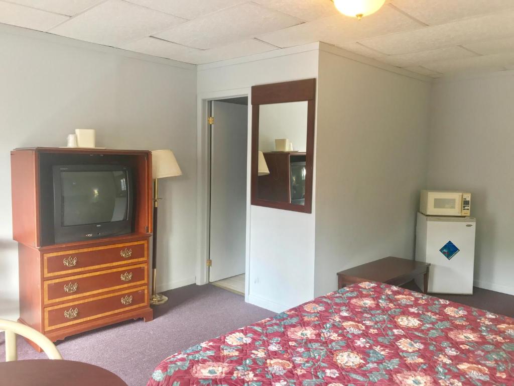 a room with a tv and a bed and a dresser at Economy Inn Alfred Station in Alfred