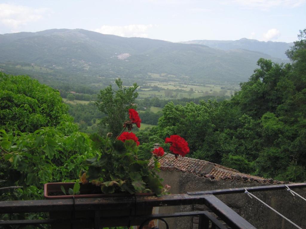 dos flores rojas sentadas en la cima de una montaña en Il Sorriso, en Orvinio