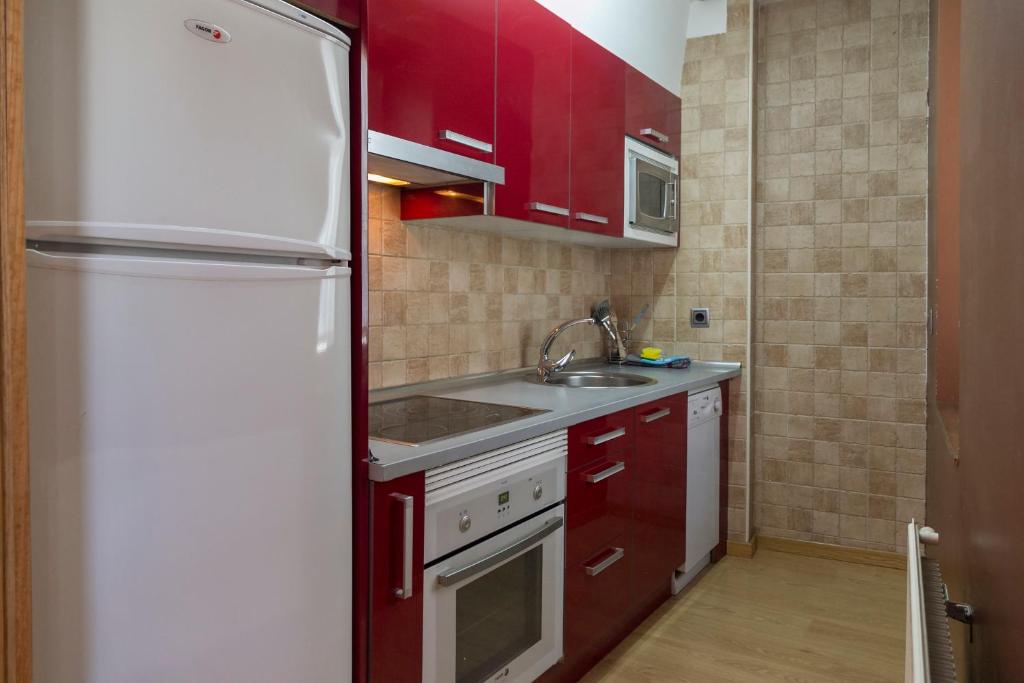 Kuchyň nebo kuchyňský kout v ubytování Aiestaenea Apartamentos Rurales