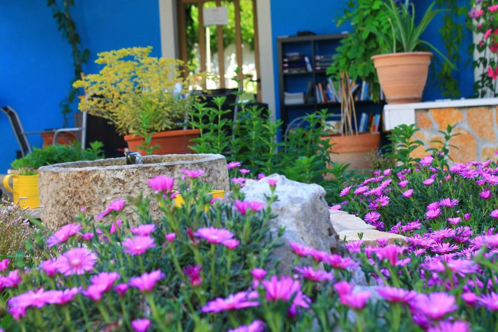 Zahrada ubytování Apartments Yerkovic