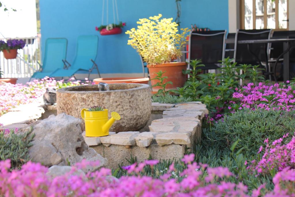Zahrada ubytování Apartments Yerkovic