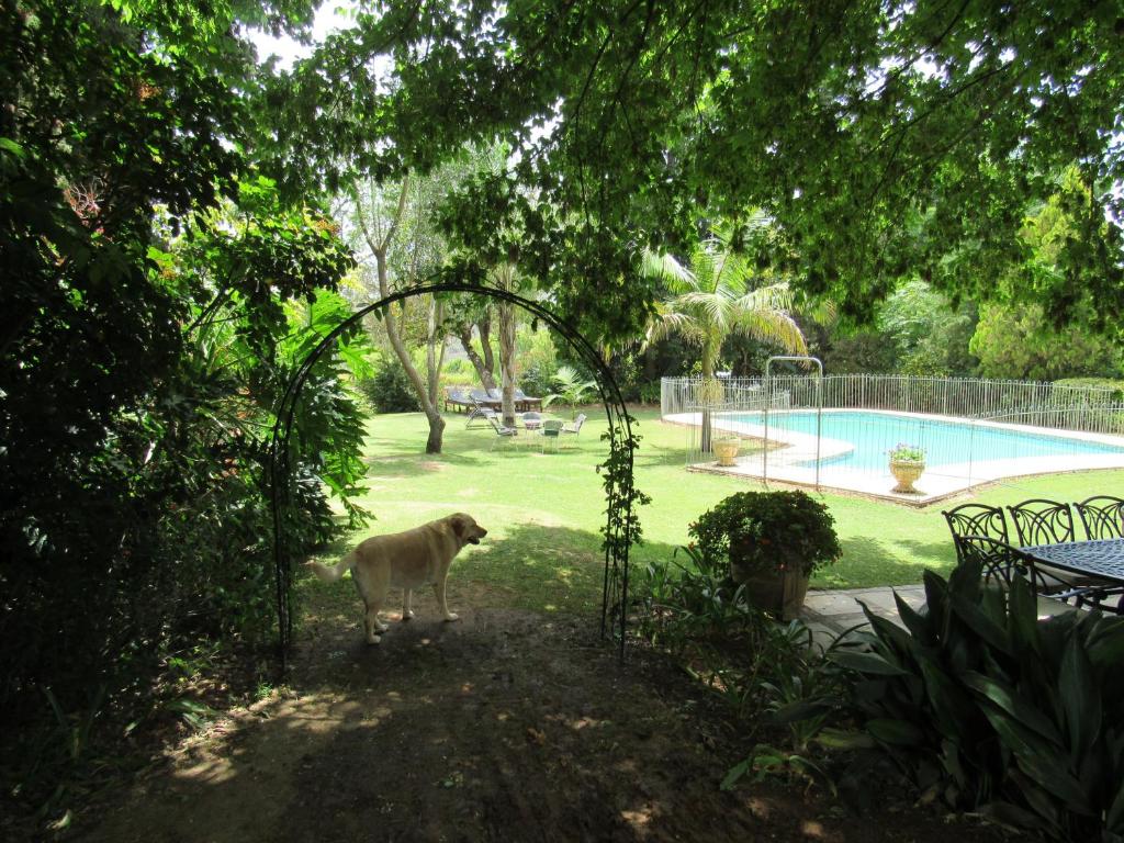 La alberca dentro o cerca de Happy Lands Farmstay