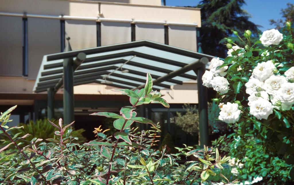 Zahrada ubytování Hotel Liola'