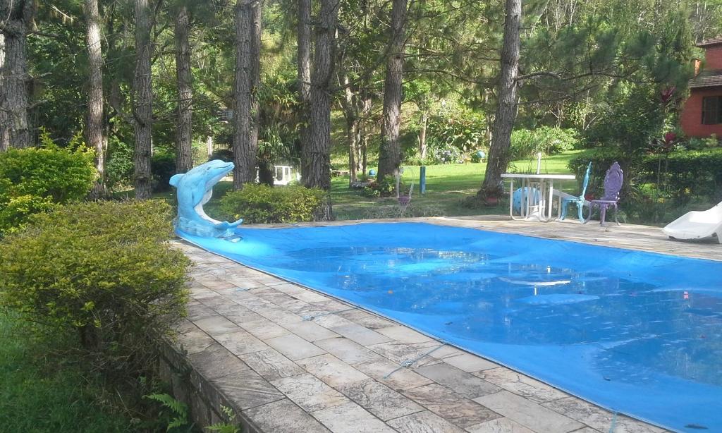 a swimming pool with a dolphin statue in a yard at Sítio Canoas in Albuquerque