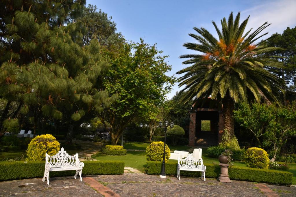 テポツォトゥランにあるFinca Mexicanaのヤシの木がある庭園の白いベンチ2つ
