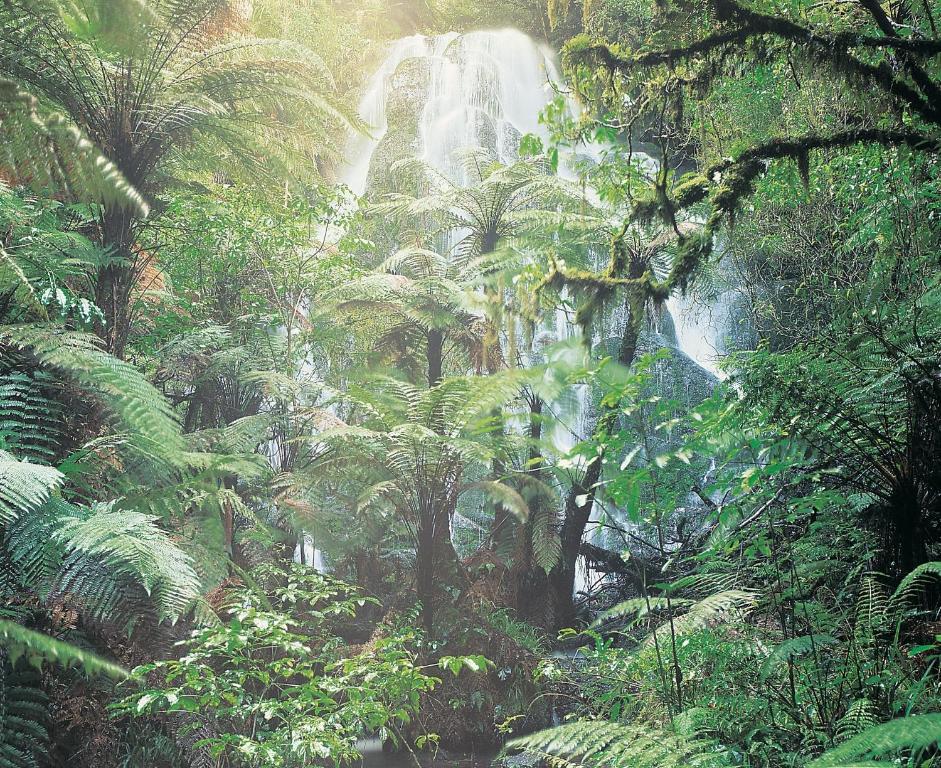 Treetops Lodge & Estate - Resim 20