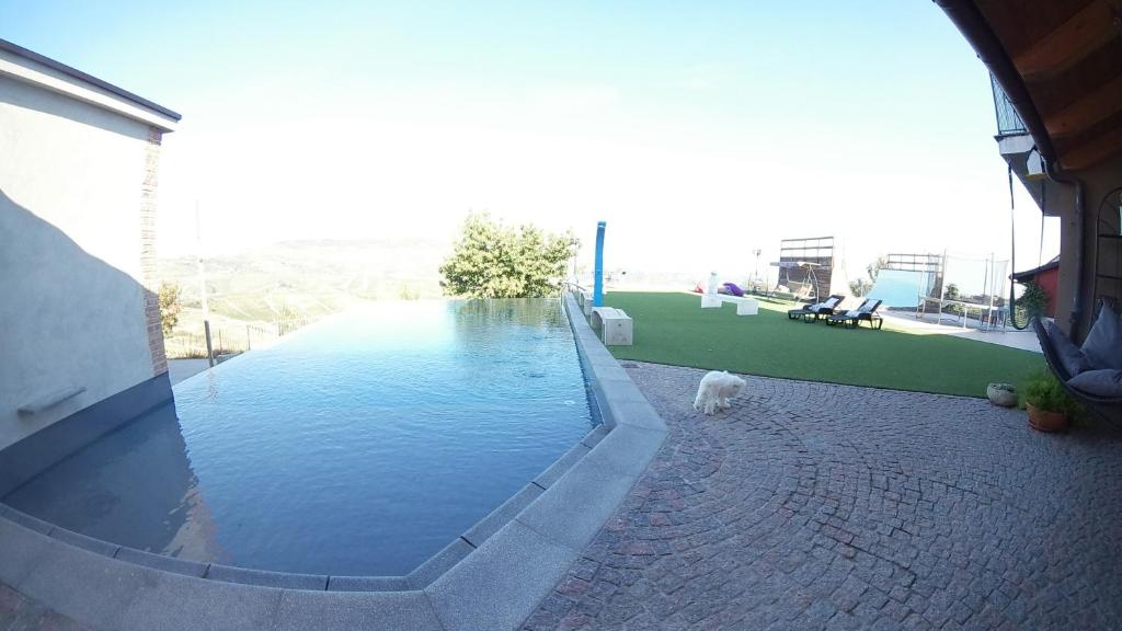 a dog is standing next to a swimming pool at Cascina Roella in Monforte dʼAlba