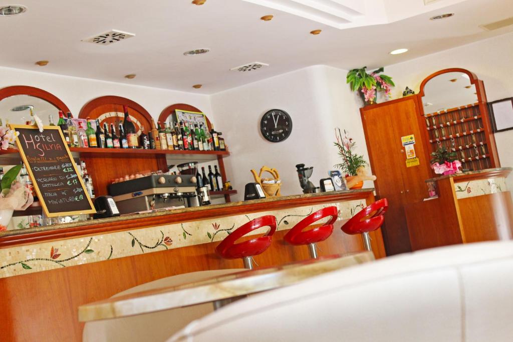 Lounge nebo bar v ubytování Hotel Silvia