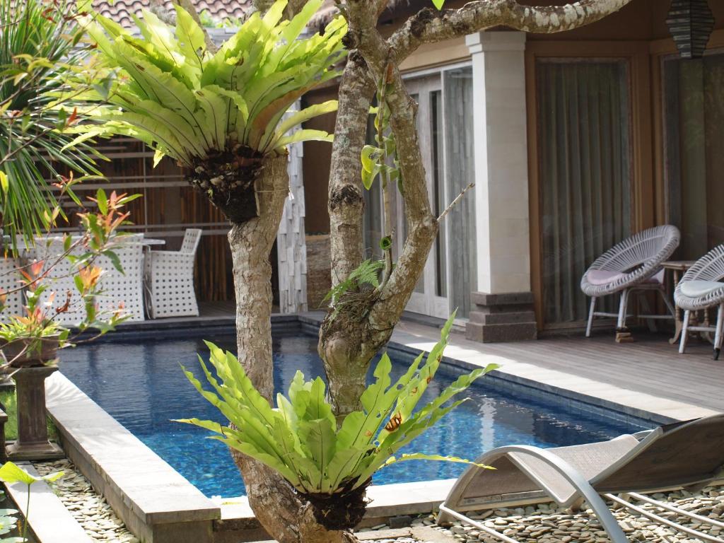 Bamboo Moon Villas - 14