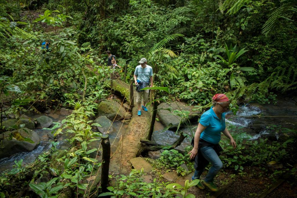 Hosté ubytování La Tigra Rainforest Lodge