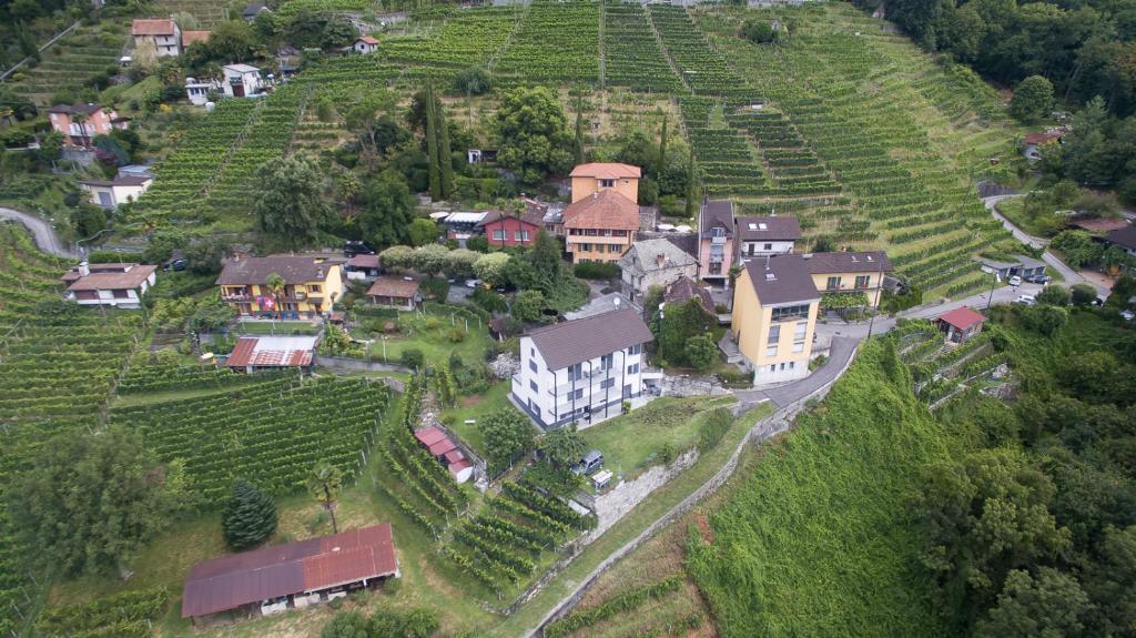 una vista aérea de un pequeño pueblo en un viñedo en Osteria Locanda Brack, en Gudo