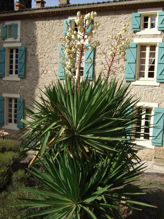une usine devant un bâtiment avec des fenêtres bleues dans l'établissement Domaine Saint Andrieu, à Greffeil