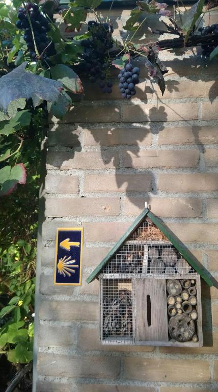 Ảnh trong thư viện ảnh của B&B Aan het Park Eindhoven ở Eindhoven