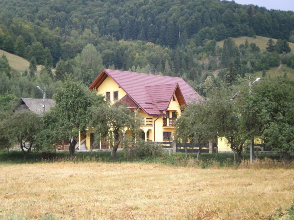 a yellow house with a red roof in a field at Karisma Kriss in Suceviţa