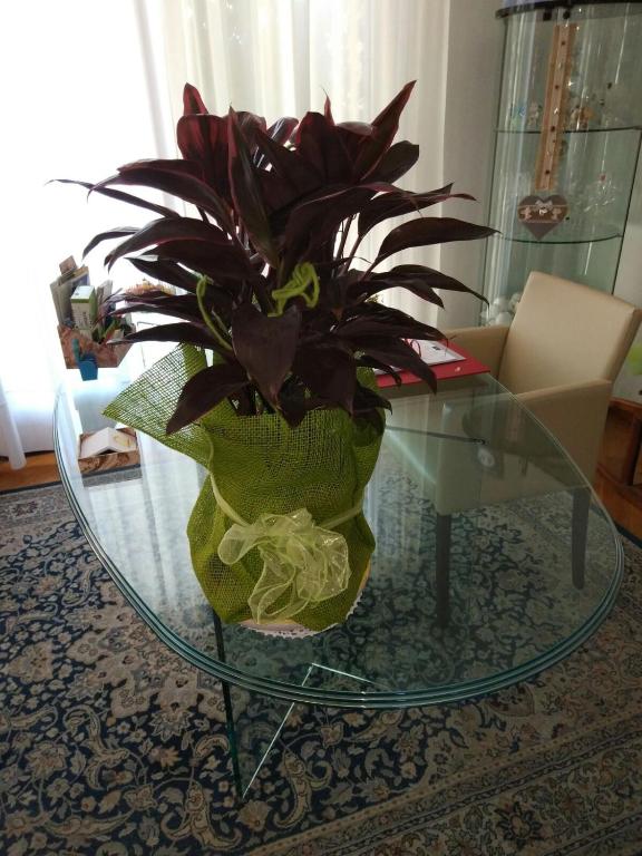 Fotografie z fotogalerie ubytování Marinella B&B v destinaci Cornale