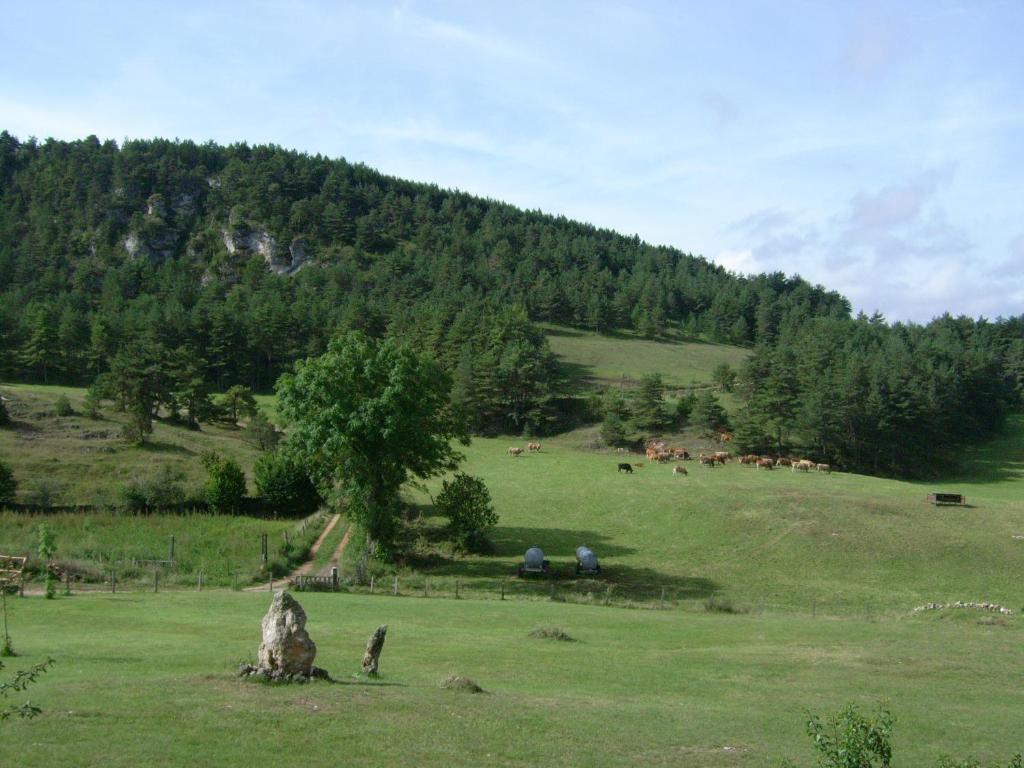 Příroda nedaleko chaty