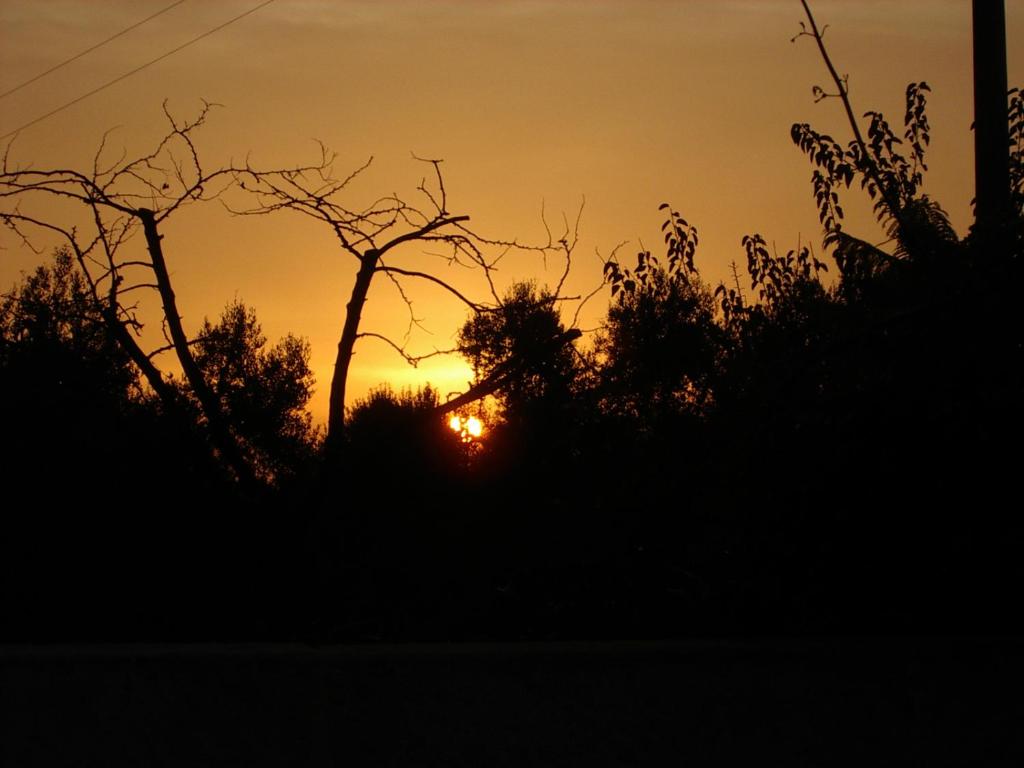 a sunset with trees in the foreground at Masseria Asciano in Ostuni
