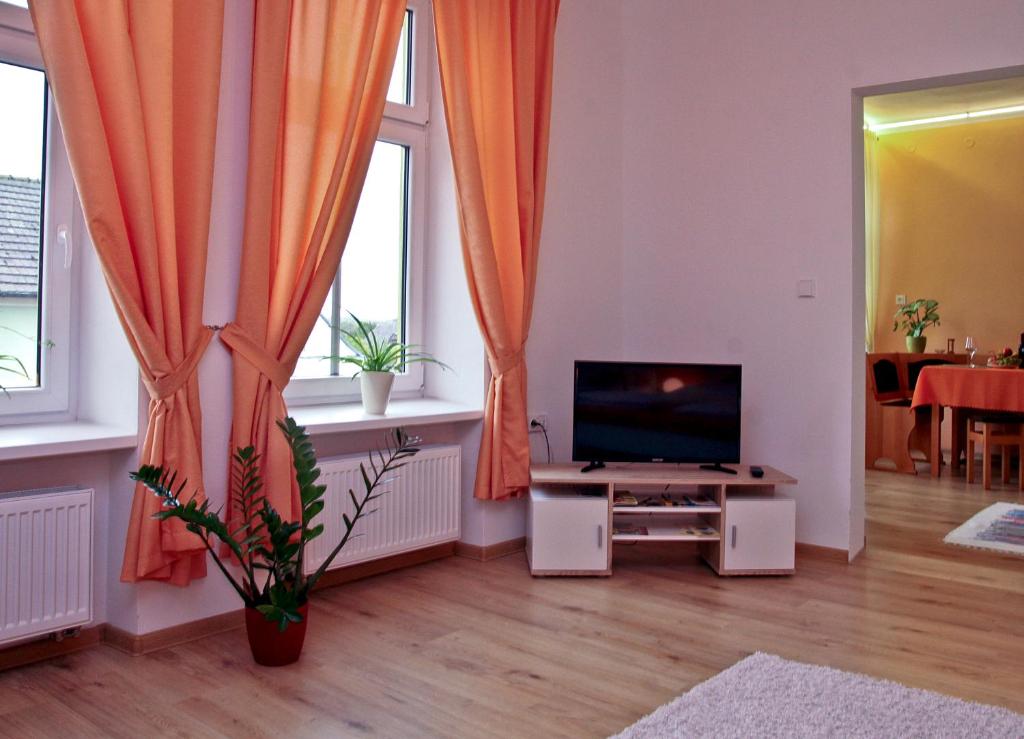 TV a/nebo společenská místnost v ubytování Pension U pálenice