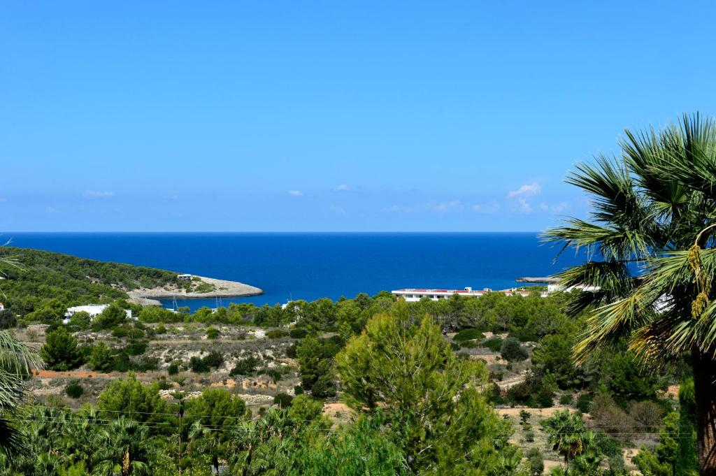 a view of the ocean from a palm tree at Villa Sa Descuberta in Portinatx